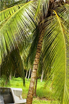 dự đoán kết quả xổ số kiên giang