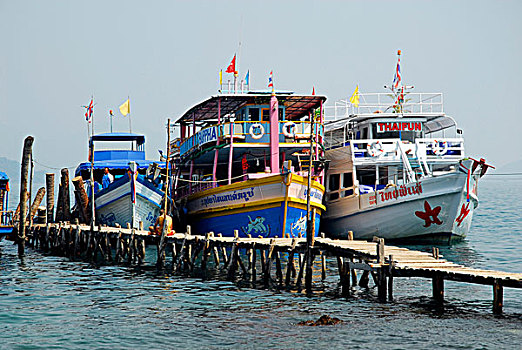 bach thu lo chuan