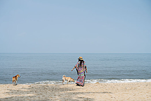 minh ngoc net