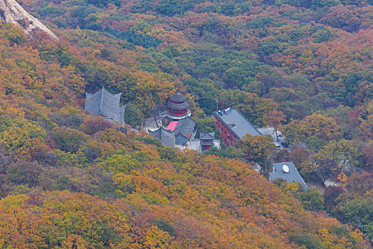 xosodongthap
