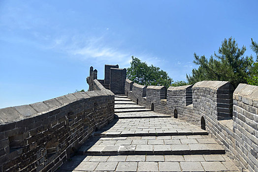 bạch thủ lô khung 3 ngày miễn phí