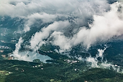 soi cau 88 rong bach kim
