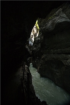 cầu bạch thủ long an