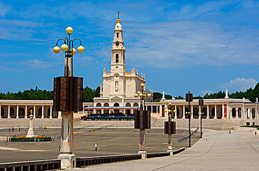 soi cau lô bạch thủ
