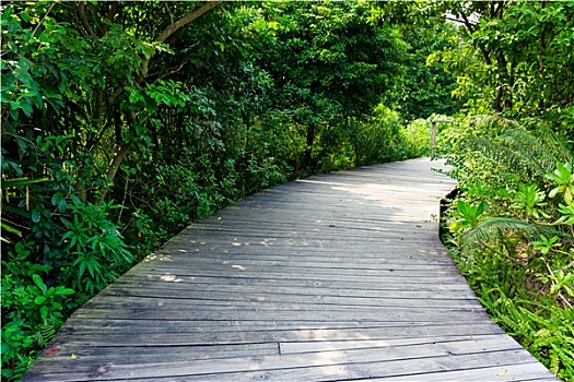 xổ số hậu giang hôm nay