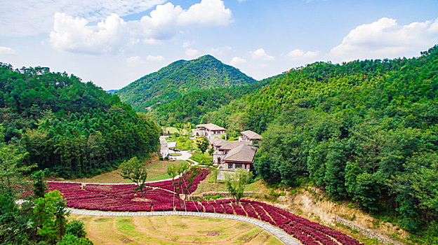 soi cau rong bach kim