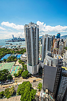 soi cau bach thu khung 3 ngay