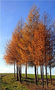 cách soi cầu đề