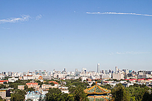 bạch thủ lô vip