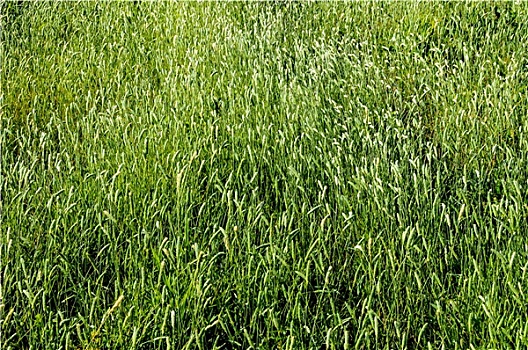 thống kê giải đặc biệt theo tháng