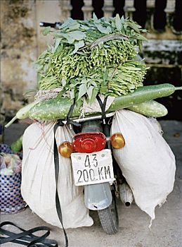 du doan xo so mien nam mien phi