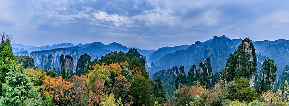 bach thu la