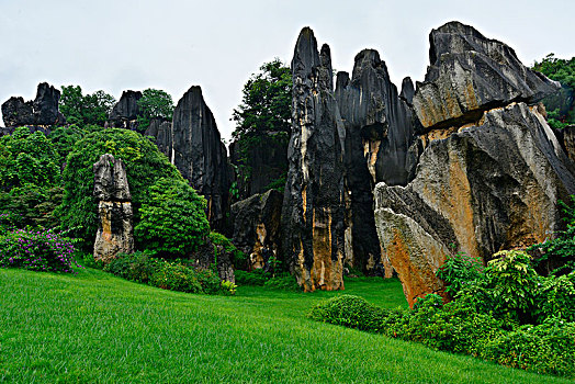 bach thu mien bac hom nay