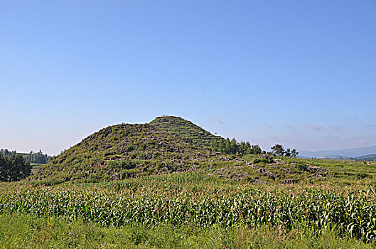 soi cau 4 so