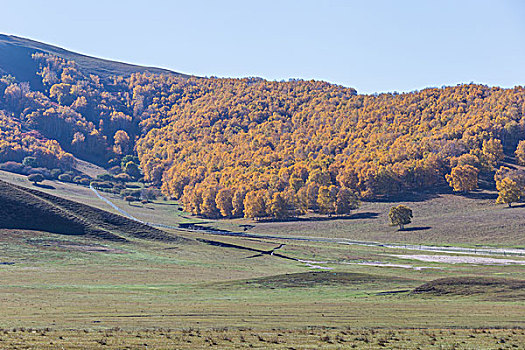 dudoanketquaxoso