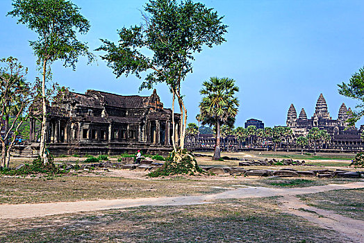 soi cau 99