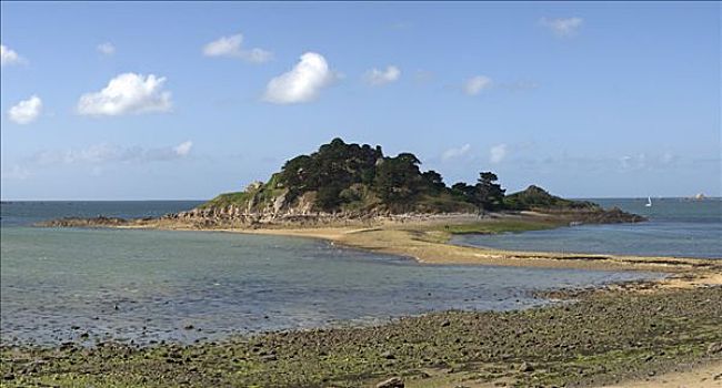 bạch thủ đề miễn phí