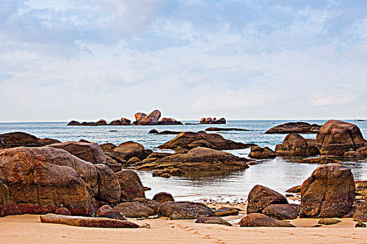 soi cau bach thu lo mb