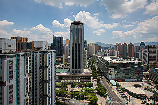 soi cau bach thu tp
