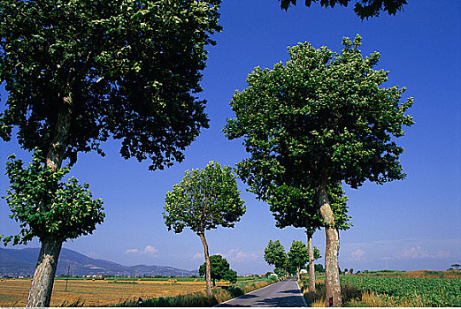 xskt đồng nai