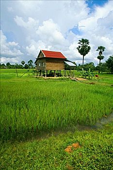xskt khánh hoà