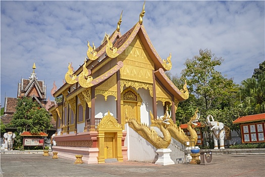 atrungroi mn