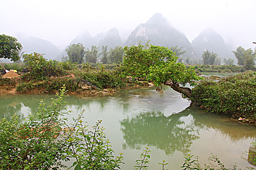 soi cầu bạch thủ miền bắc