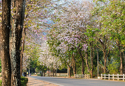 soi cầu lô đề xsmb