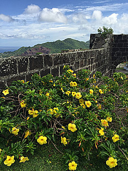 cầu lô đẹp