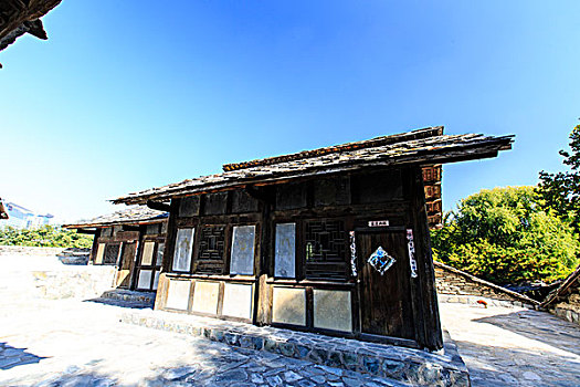 lo bach thu khung 5 ngay