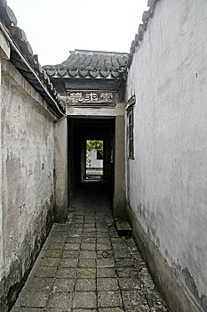 xs thu nam