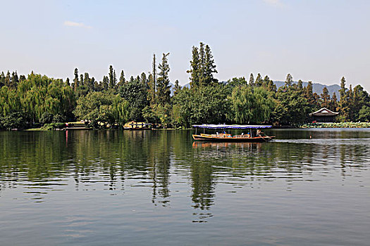 soi câu bach thu