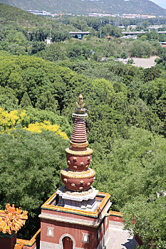 xs đà lạt