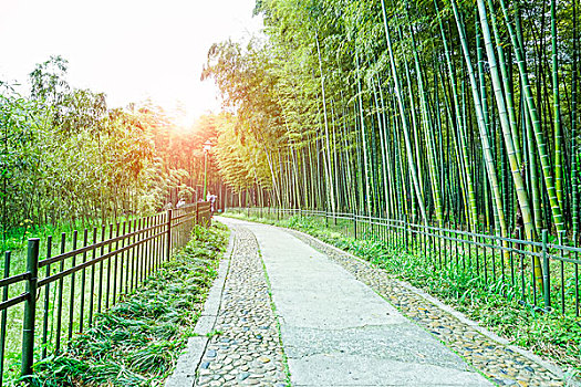 du doan xo so mien bac chinh xac 100