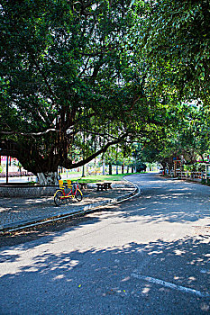 xs ho chi minh