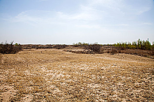 xổ số miền nam chiều nay