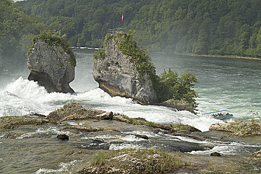 lô bạch thu khung 2 ngày
