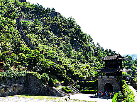 cau bach thu ngay mai