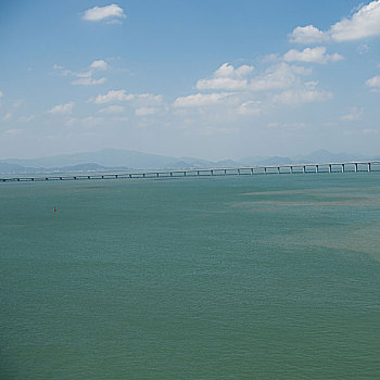 xs rong vang bach kim