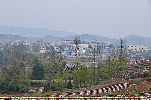 xo so hai phong