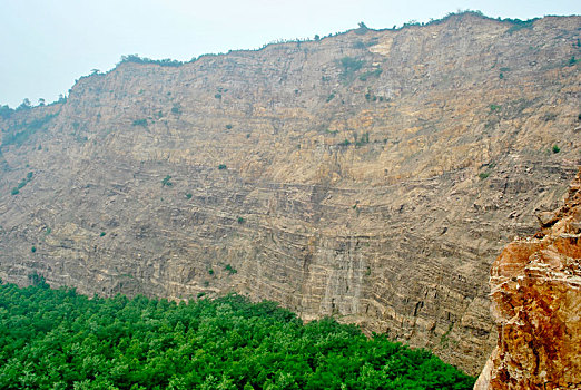 soi cau rong bach kim mien phi