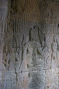 soi cau vang