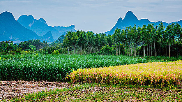 chốt số mb