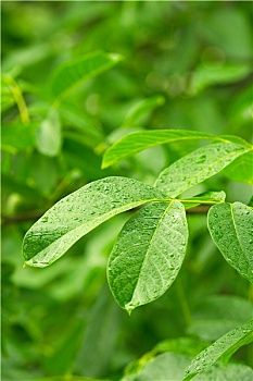 kết quả xổ số thủ đô 30 ngày