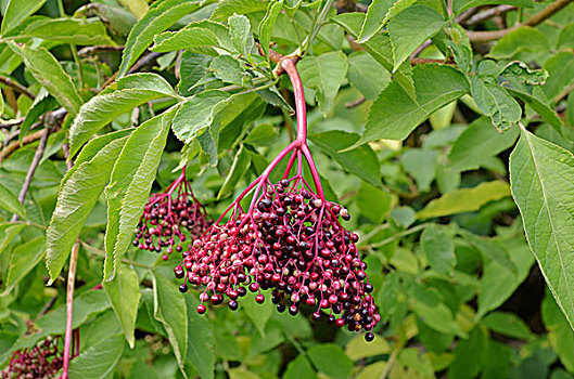 soi cầu 3 miền nét