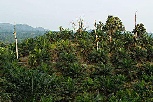 du doan kqxs 3 miền