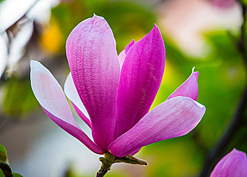 kết quả xổ số thủ đô ngày hôm nay