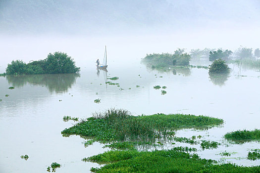 soi cau de bach thu