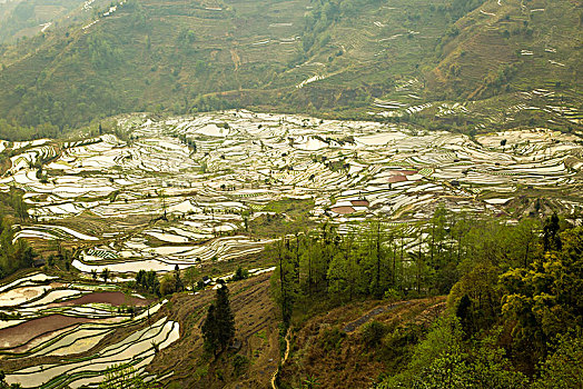 thống kê xsmb
