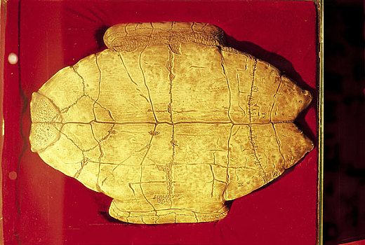 sổ kq